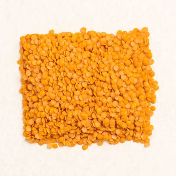 Red Lentils