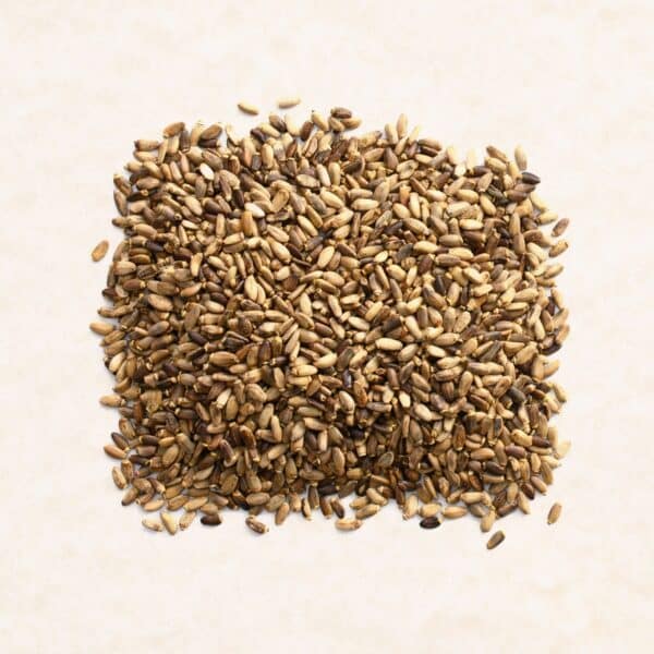 MilkThistle Seeds