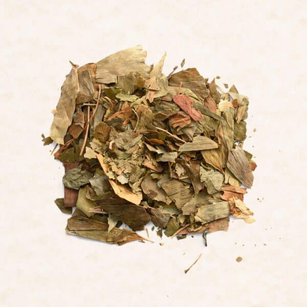 Ginkgo Biloba (Τζίνγκο Μπιλόμπα)