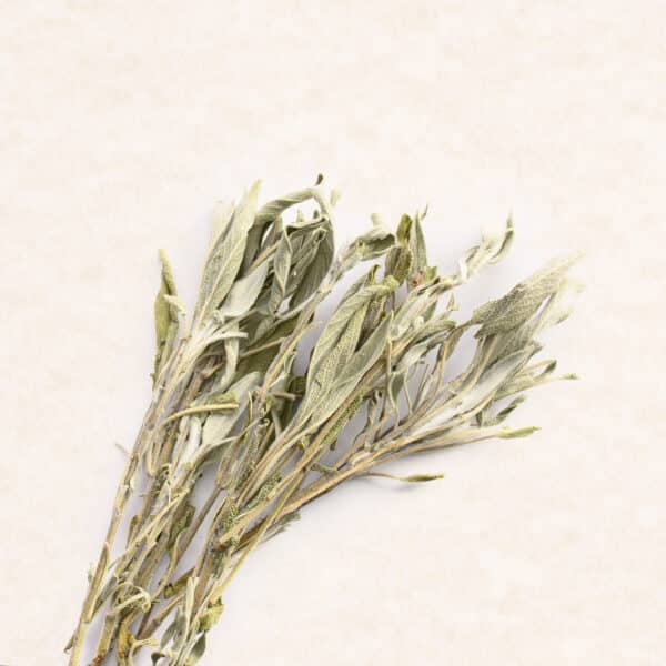 Greek Sage