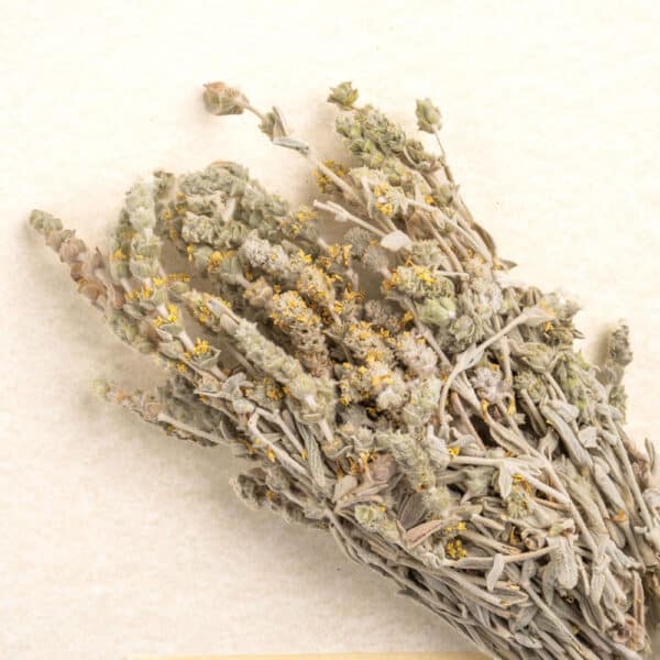 Sideritis Euboea "Mountain" Tea from Evia