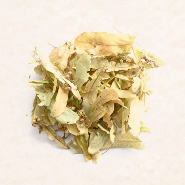 Tilia Flower