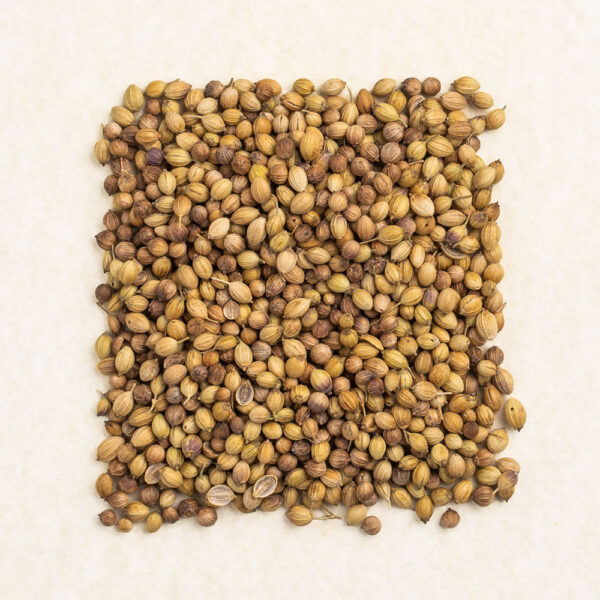 Coriander Seed