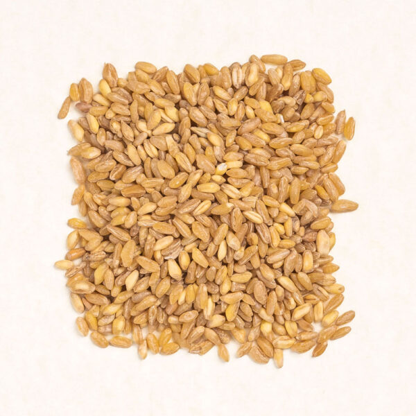 Whole Wheat from Kozani