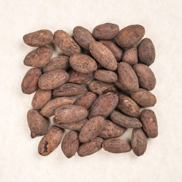 Cacao Beans Bio