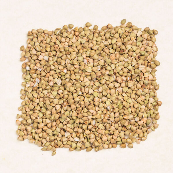 Buckwheat Seeds Bio