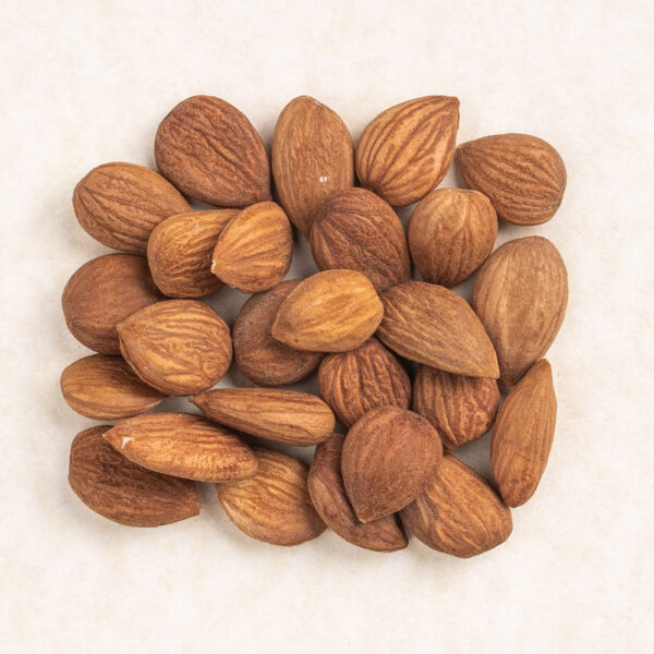 Apricot Kernels Bio